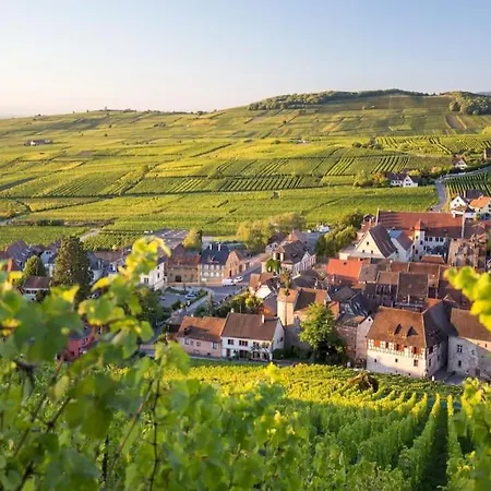 Chez Lucie Proche Gare Et Centre * Colmar