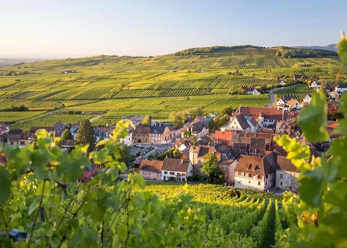 Chez Lucie Proche Gare Et Centre * Colmar